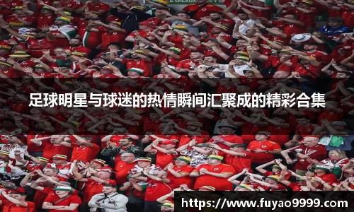 足球明星与球迷的热情瞬间汇聚成的精彩合集